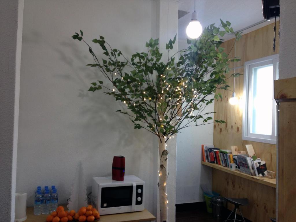 Huga Haus Hostel โซล ภายนอก รูปภาพ
